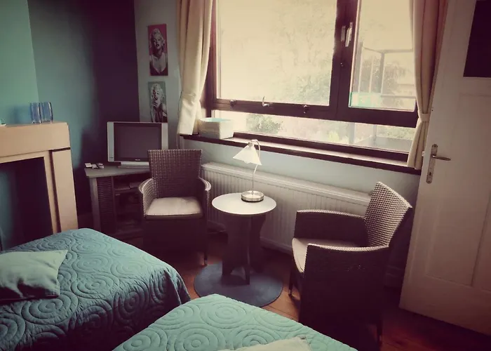 Lieven Bauwens 4* Gante